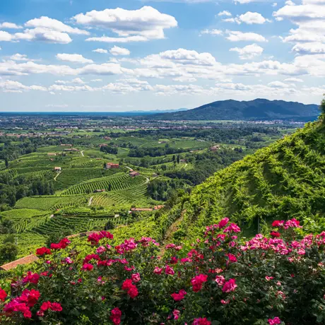 ASOLO, VILLA BARBARO, POSSAGNO E LA STRADA DEL PROSECCO