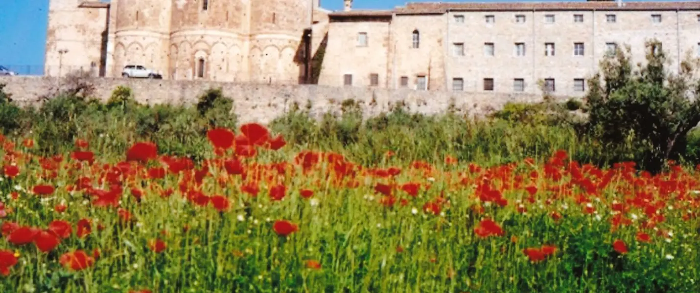 LE ISOLE TREMITI, PUNTA  ADERCI E I TRABOCCHI