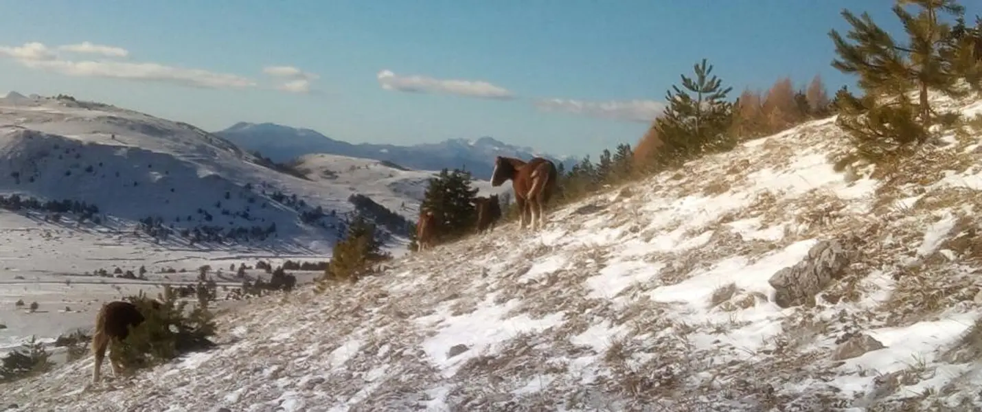 IL PICCOLO TIBET D'ABRUZZO