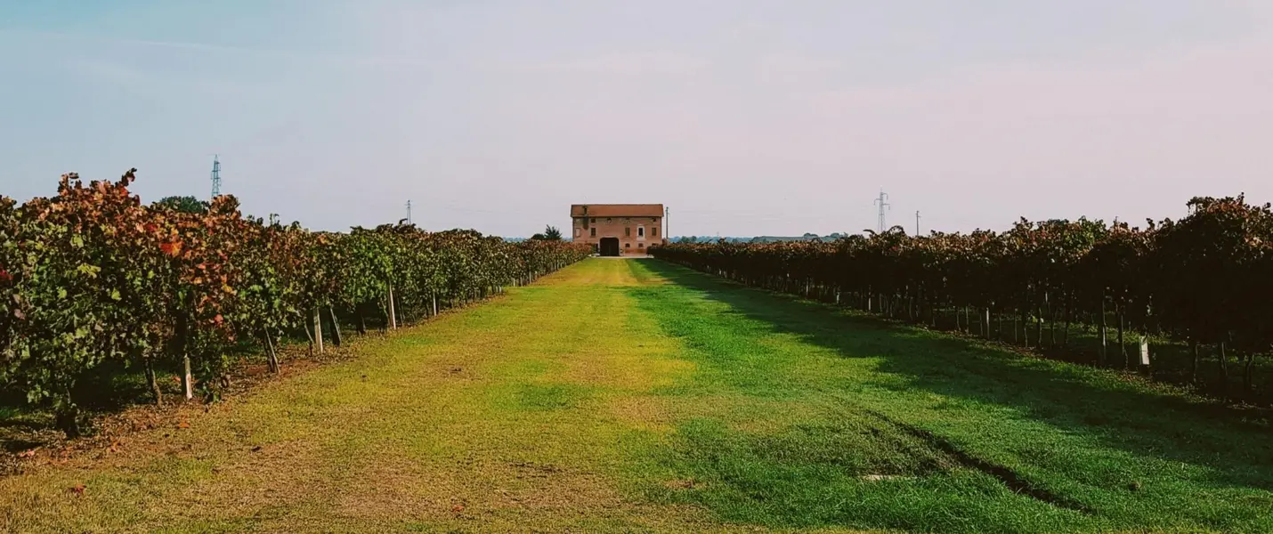 MODENA, CANTINE E ACETAIE