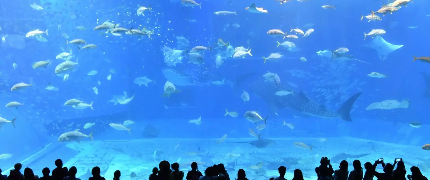 GENOVA: EUROFLORA, ACQUARIO, PALAZZO REALE