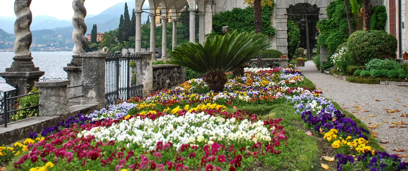 IL BERNINA E LA VALTELLINA