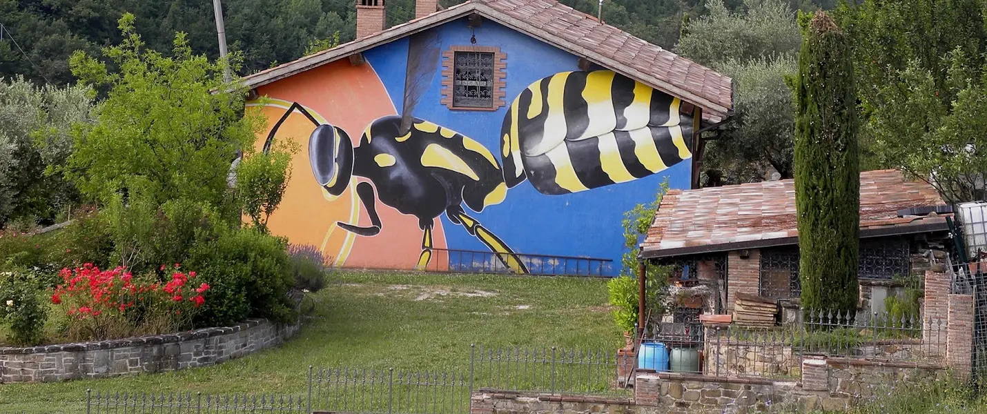 IL BOSCO DI CANFAITO E I MURALES DI BRACCANO