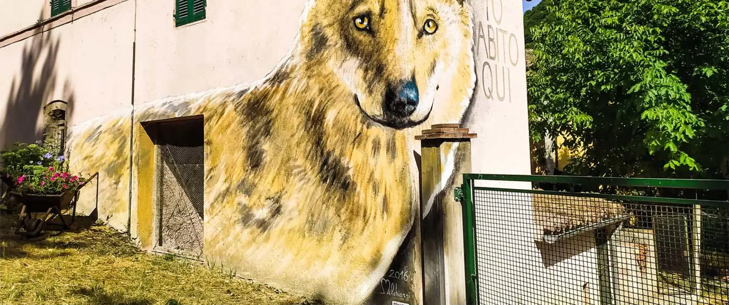 IL BOSCO DI CANFAITO E I MURALES DI BRACCANO