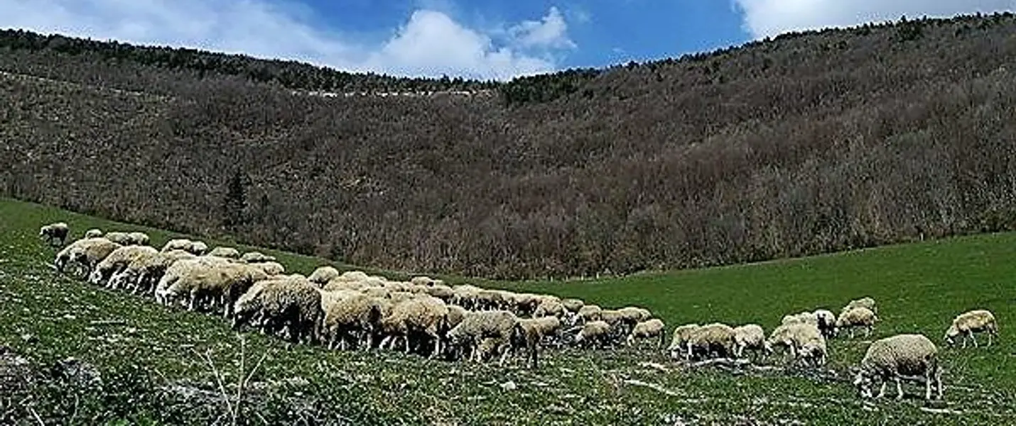 VALDICASTRO E CANFAITO AL TRAMONTO