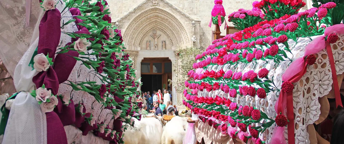 MOLISE E FESTA  DI SAN PARDO A LARINO