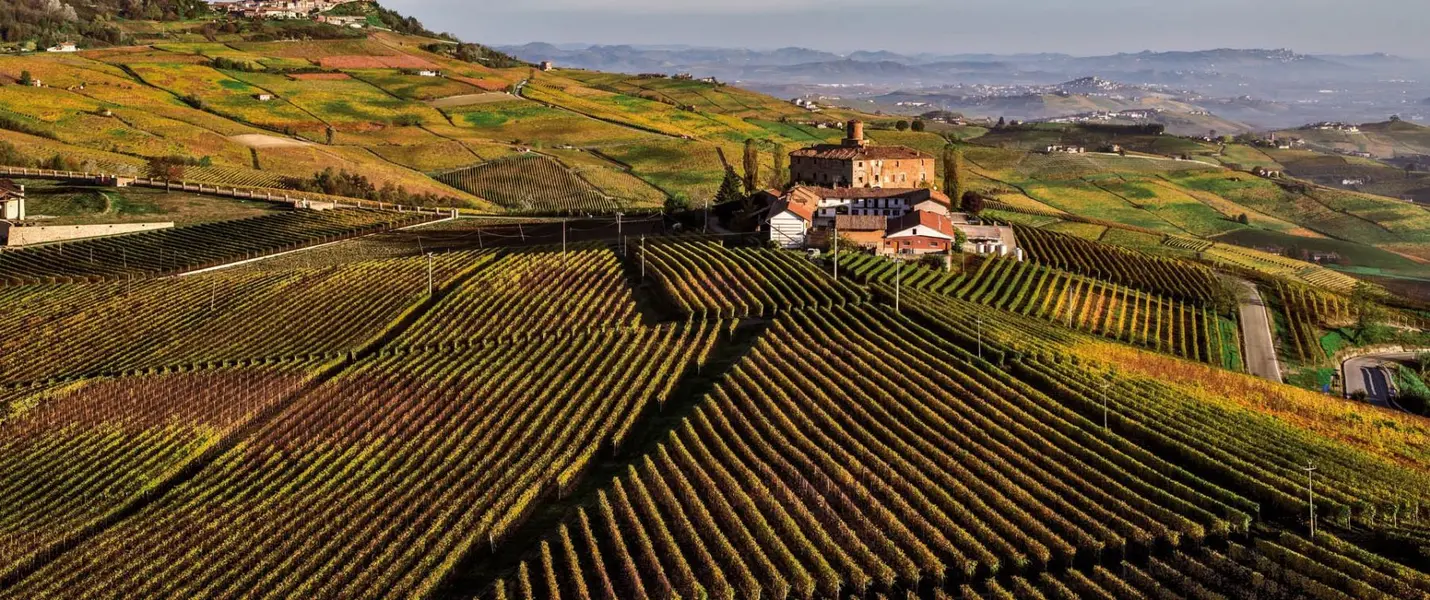 ALBA, LANGHE E MONFERRATO