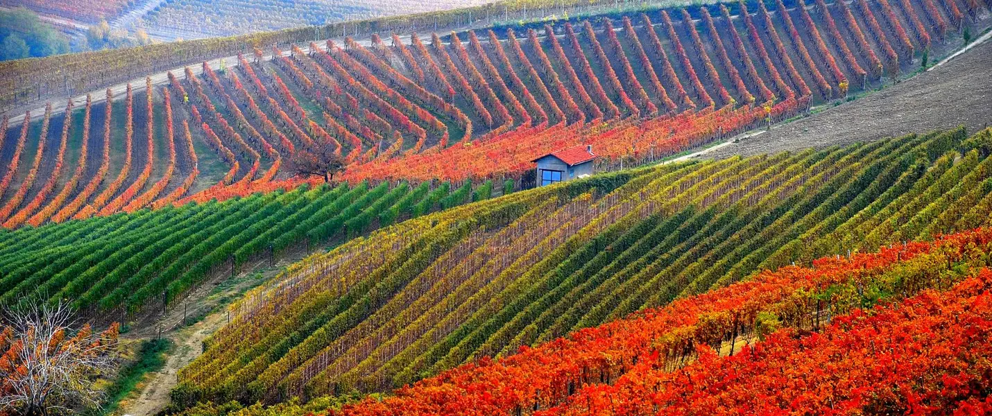 ALBA, LANGHE E MONFERRATO