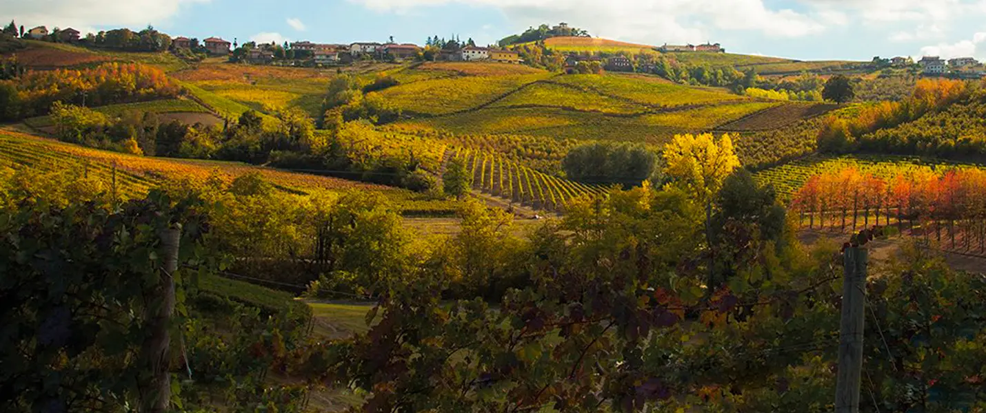 PIEMONTE TRA CANTINE E CASTELLI