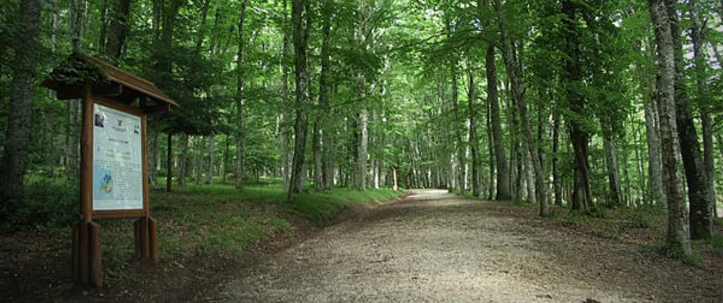 VIESTE, PESCHICI E LA FORESTA UMBRA