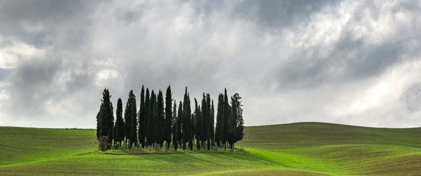 VAL D'ORCIA, PAESAGGI D'AUTORE