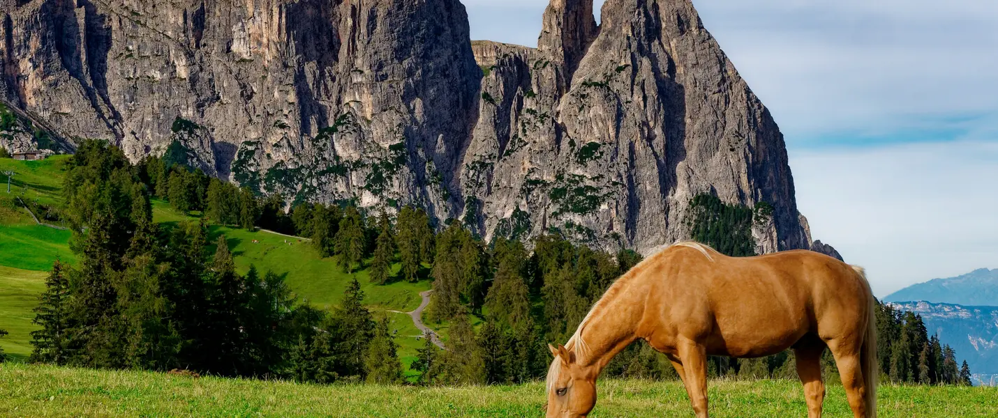 SOGGIORNO IN VAL PUSTERIA 2025