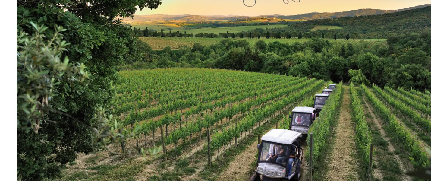 CITTA DELLA PIEVE e MONTE VIBIANO VECCHIO