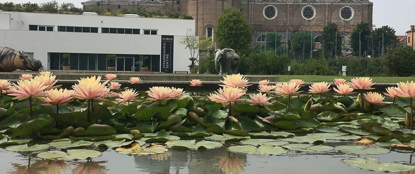 PADOVA - l'ORTO, L'ACQUA E IL SANTO