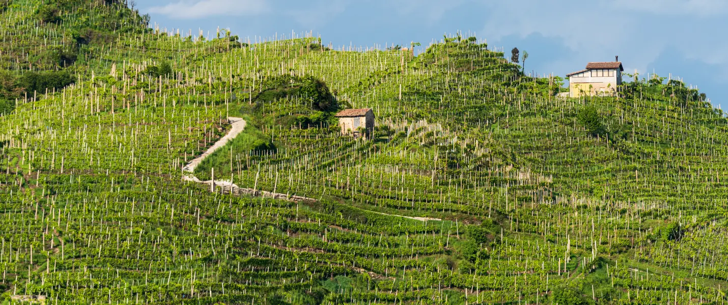 ASOLO, VILLA BARBARO, POSSAGNO E LA STRADA DEL PROSECCO