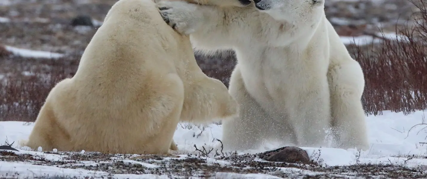 CANADA, NATURA GRANDIOSA